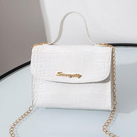 Crocodile Pattern small Handbag with chain lock - GIGI & POPO - Women - white B